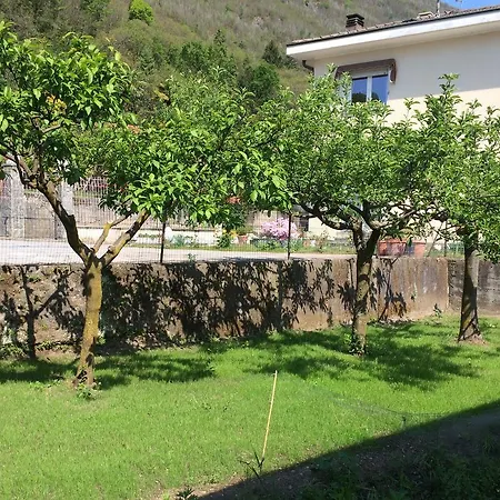 Apartment Trinita'